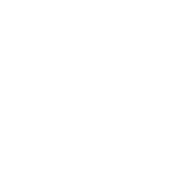 Lien Instagram